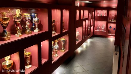 Galaria Sportowych Trofeów Adama Małysza